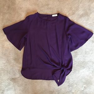 Purple Sheer Shirt
